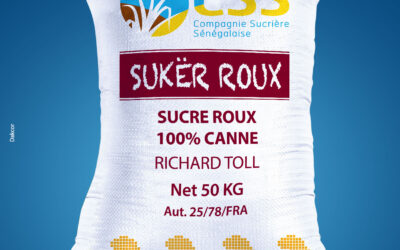 Sukër Roux Sac 50 KG